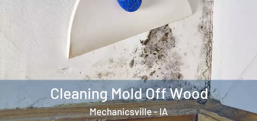 Cleaning Mold Off Wood Mechanicsville - IA