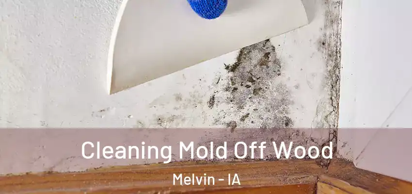 Cleaning Mold Off Wood Melvin - IA