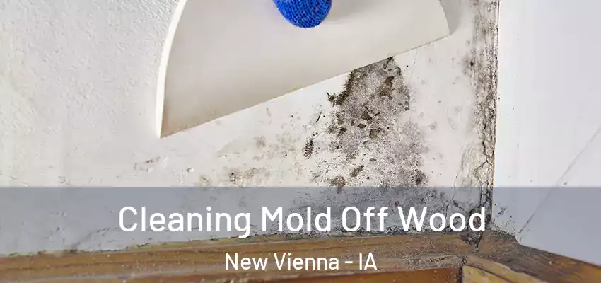 Cleaning Mold Off Wood New Vienna - IA