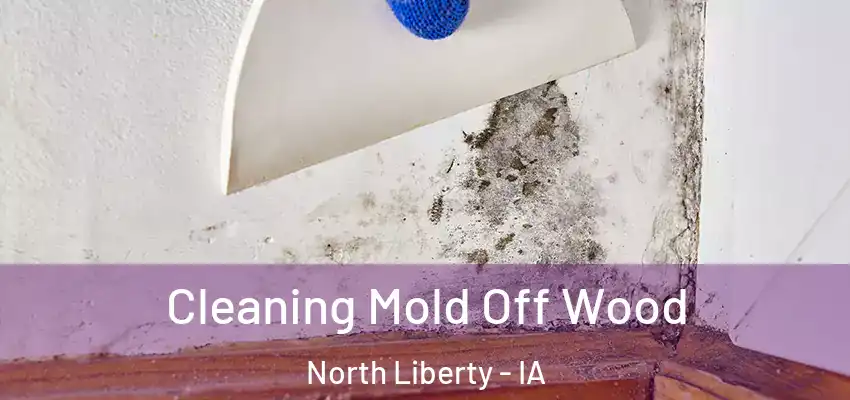  Cleaning Mold Off Wood North Liberty - IA