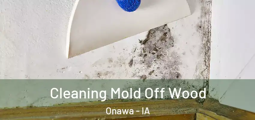 Cleaning Mold Off Wood Onawa - IA
