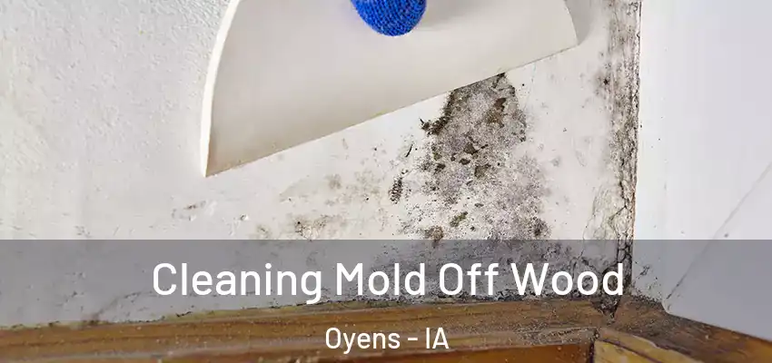 Cleaning Mold Off Wood Oyens - IA