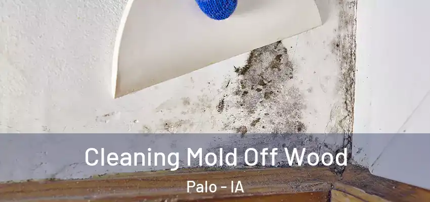Cleaning Mold Off Wood Palo - IA