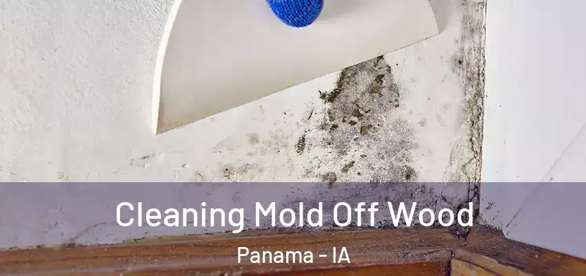 Cleaning Mold Off Wood Panama - IA