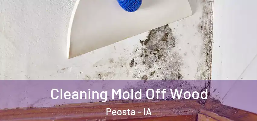  Cleaning Mold Off Wood Peosta - IA