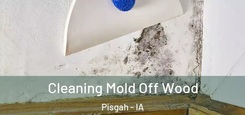  Cleaning Mold Off Wood Pisgah - IA