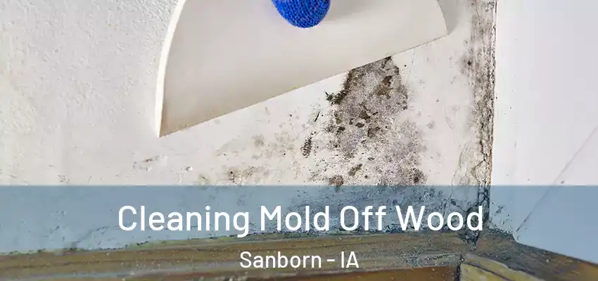 Cleaning Mold Off Wood Sanborn - IA