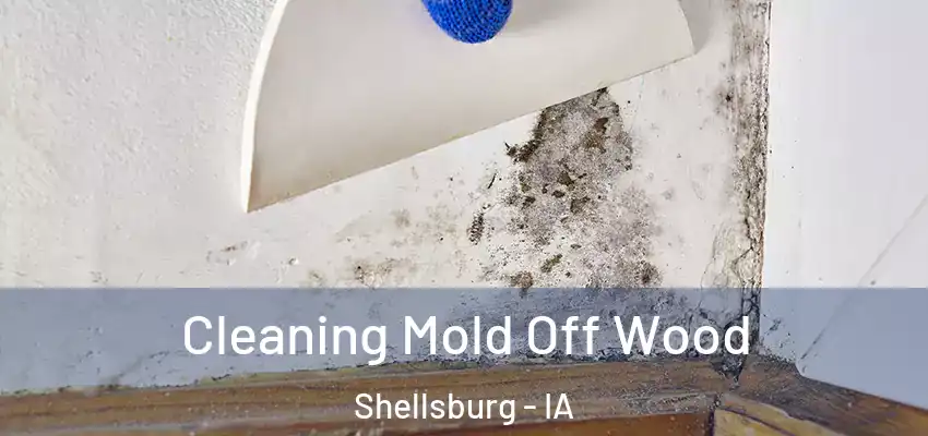 Cleaning Mold Off Wood Shellsburg - IA