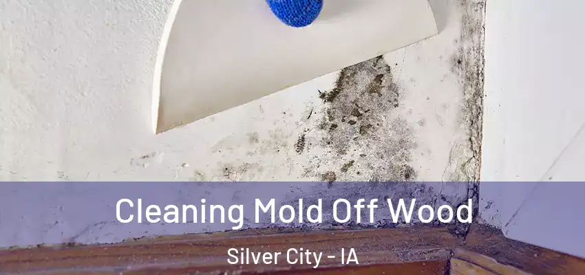  Cleaning Mold Off Wood Silver City - IA
