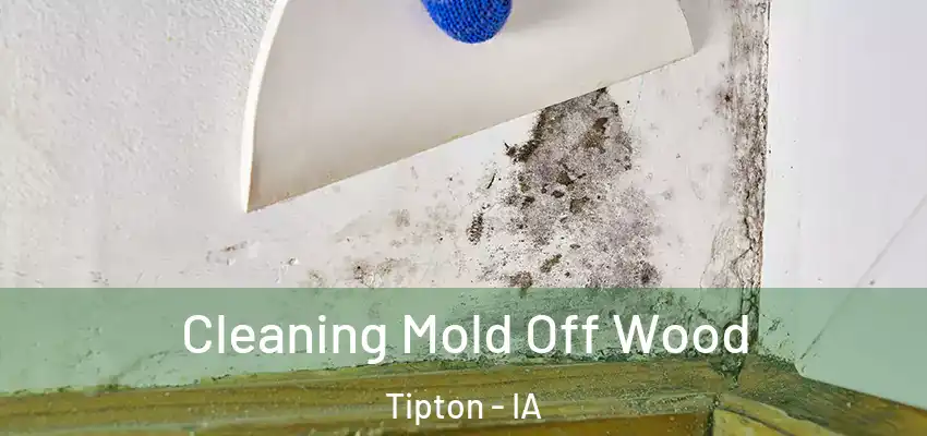 Cleaning Mold Off Wood Tipton - IA