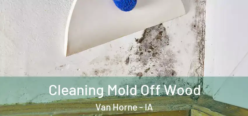  Cleaning Mold Off Wood Van Horne - IA