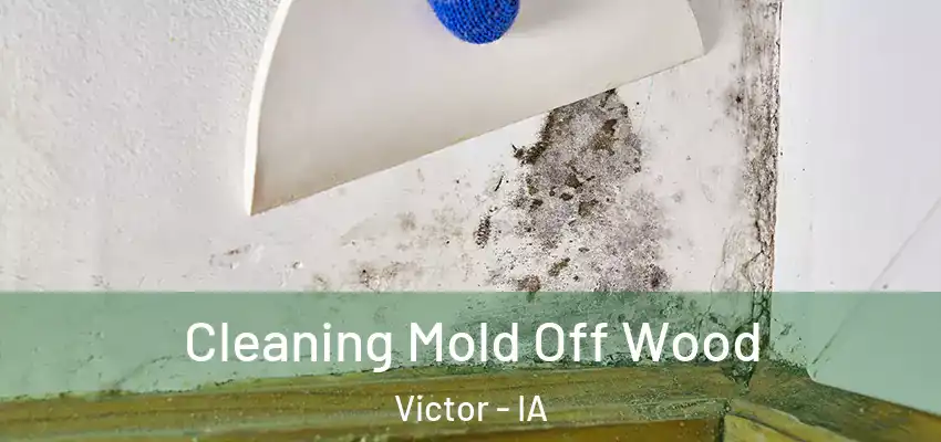 Cleaning Mold Off Wood Victor - IA