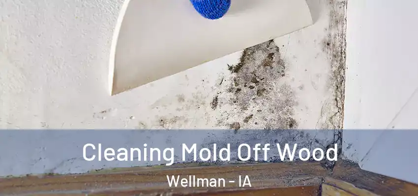 Cleaning Mold Off Wood Wellman - IA