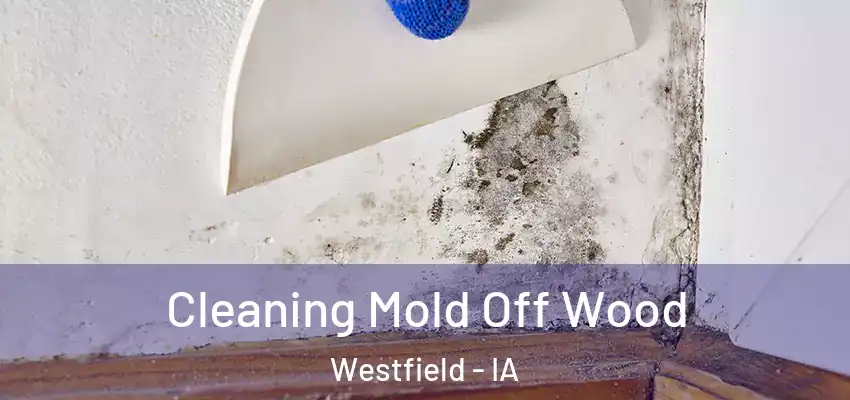 Cleaning Mold Off Wood Westfield - IA