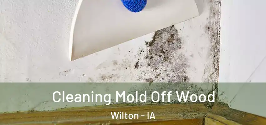 Cleaning Mold Off Wood Wilton - IA