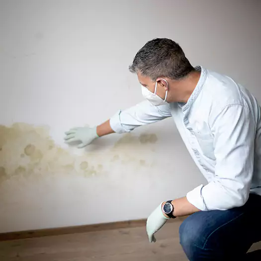 Trusted Mold Remediation and Removal Experts in Anamosa, IA