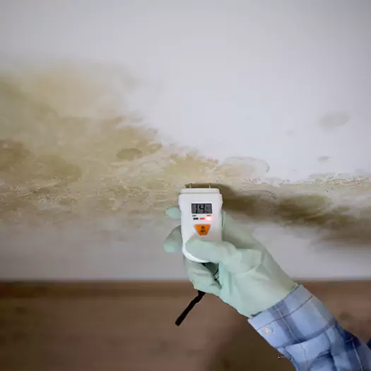 Reliable Mold Inspection Experts in Anamosa, IA