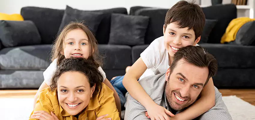 Mold Stain Remover for Wood in Anamosa, IA