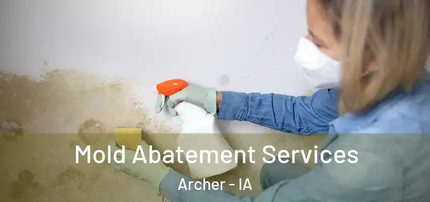  Mold Abatement Services Archer - IA