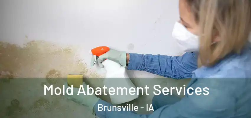 Mold Abatement Services Brunsville - IA