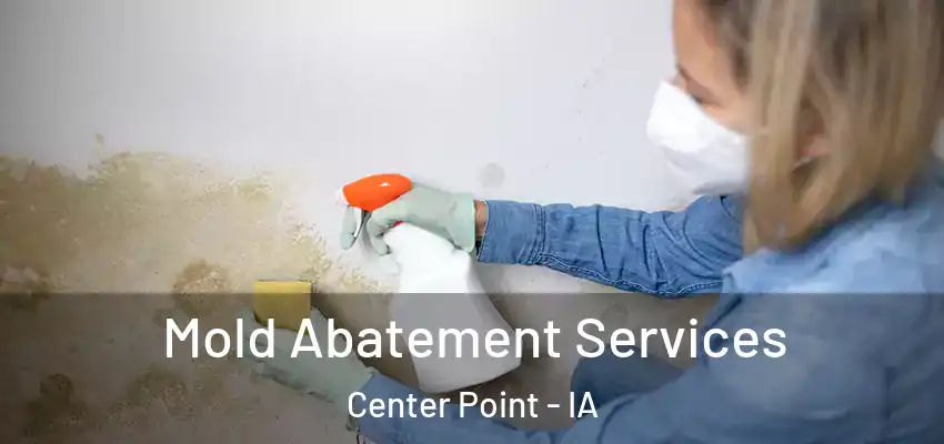Mold Abatement Services Center Point - IA