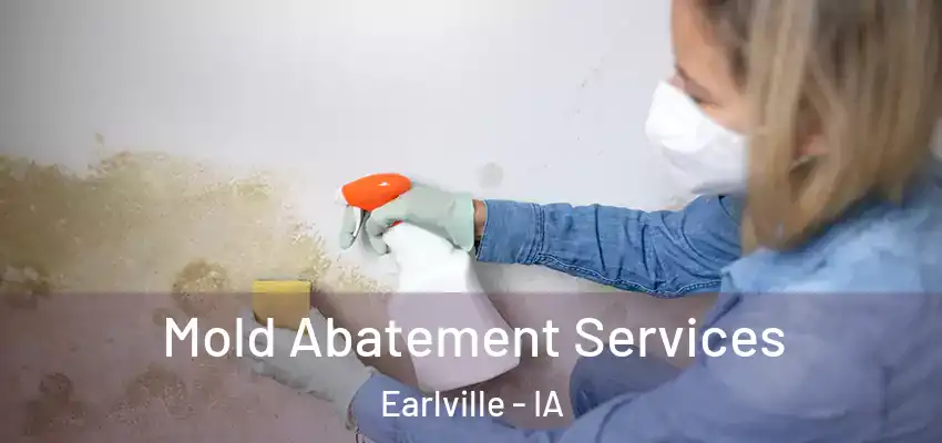 Mold Abatement Services Earlville - IA