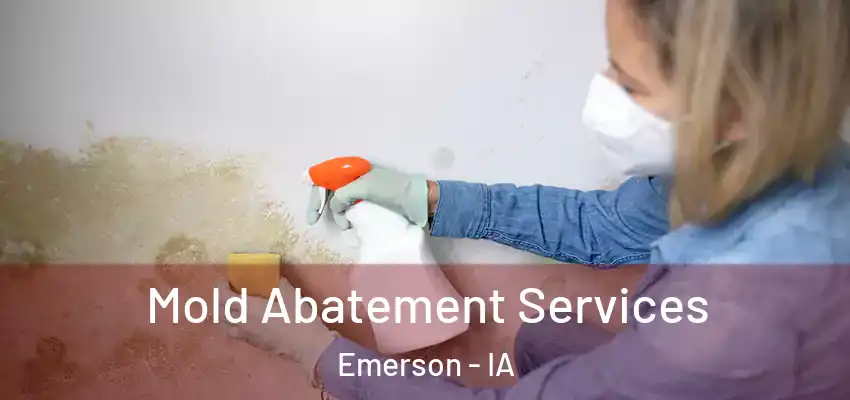  Mold Abatement Services Emerson - IA