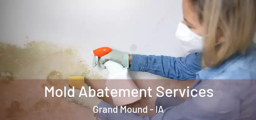 Mold Abatement Services Grand Mound - IA