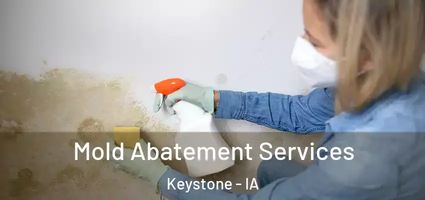  Mold Abatement Services Keystone - IA