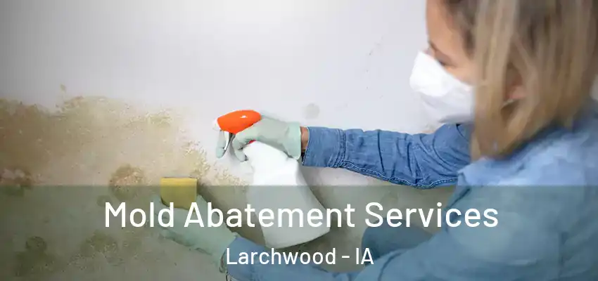 Mold Abatement Services Larchwood - IA