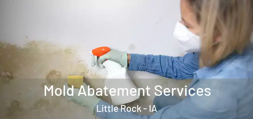 Mold Abatement Services Little Rock - IA