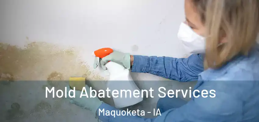 Mold Abatement Services Maquoketa - IA