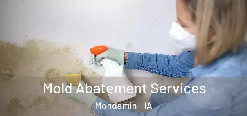 Mold Abatement Services Mondamin - IA