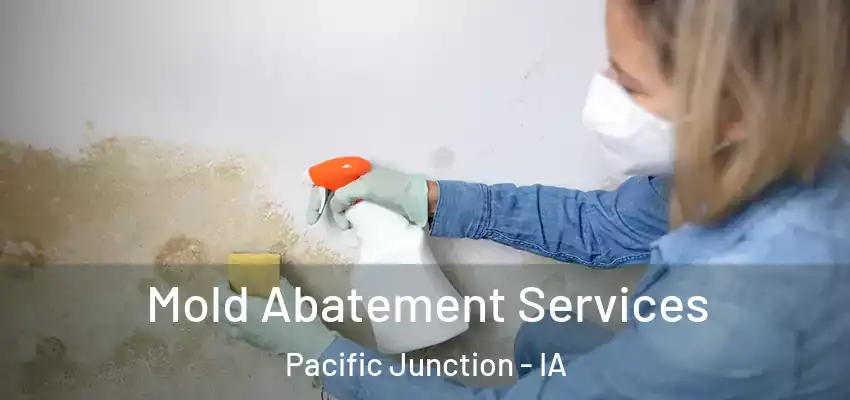  Mold Abatement Services Pacific Junction - IA