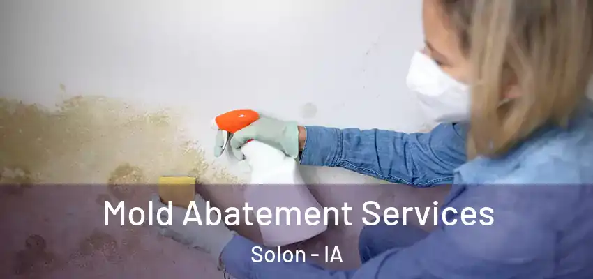  Mold Abatement Services Solon - IA