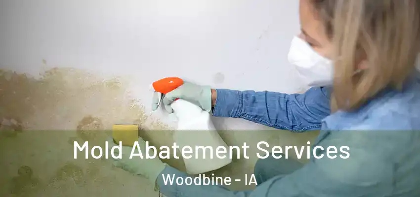 Mold Abatement Services Woodbine - IA