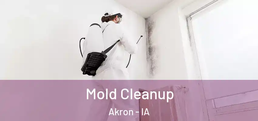 Mold Cleanup Akron - IA