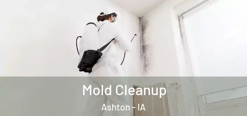Mold Cleanup Ashton - IA