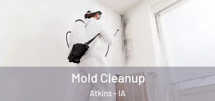 Mold Cleanup Atkins - IA