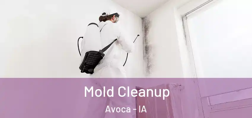 Mold Cleanup Avoca - IA