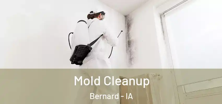  Mold Cleanup Bernard - IA