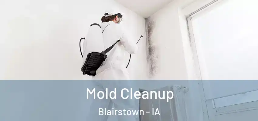  Mold Cleanup Blairstown - IA
