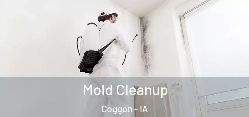 Mold Cleanup Coggon - IA