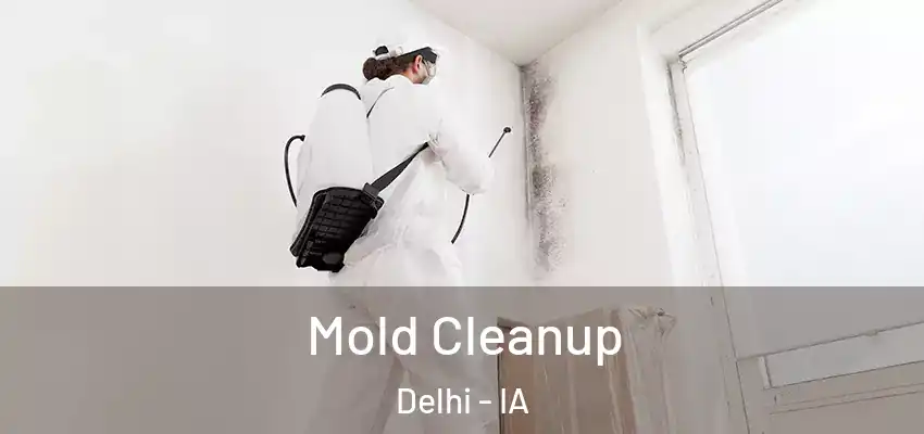 Mold Cleanup Delhi - IA
