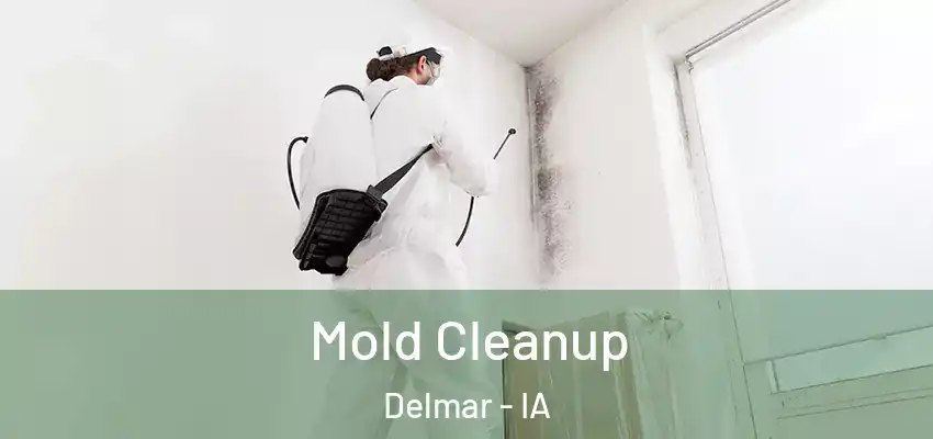 Mold Cleanup Delmar - IA