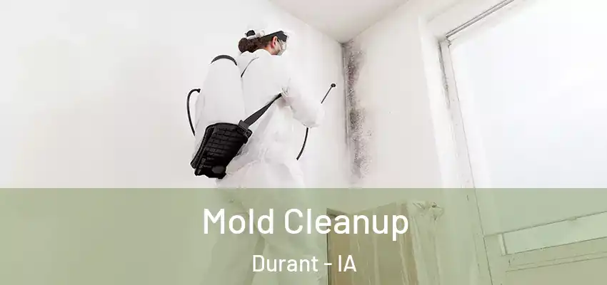 Mold Cleanup Durant - IA