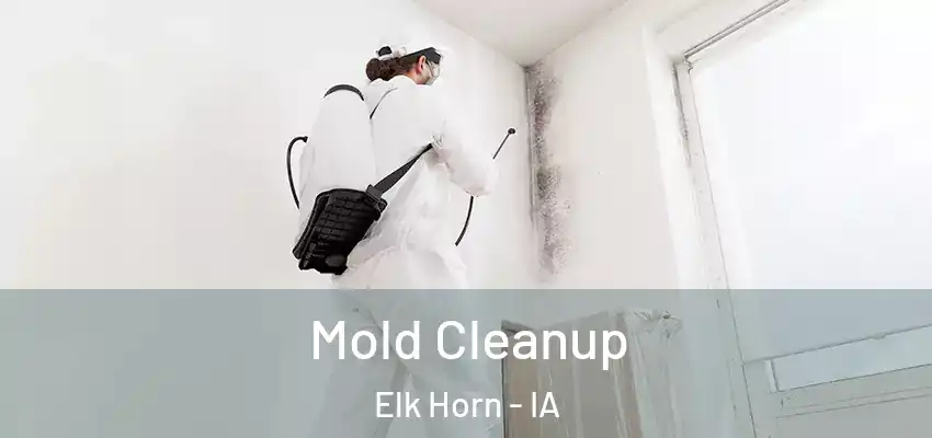  Mold Cleanup Elk Horn - IA