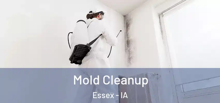  Mold Cleanup Essex - IA