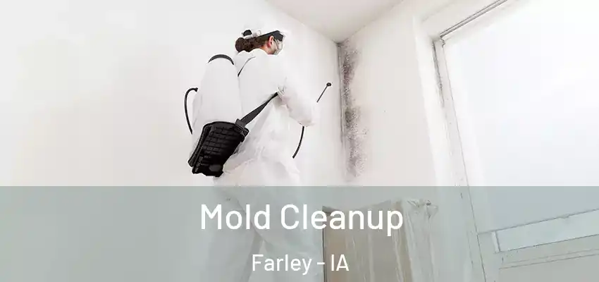 Mold Cleanup Farley - IA