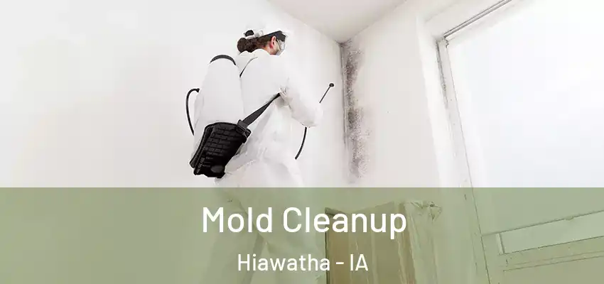 Mold Cleanup Hiawatha - IA